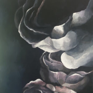 Magnolia1