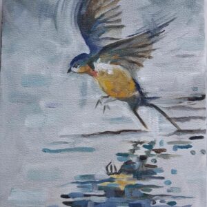 Dipping into the water  - flight series