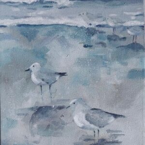 Seagull Family