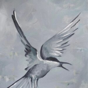 Birds In Flight