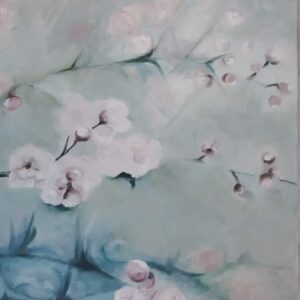 Cherry blossoms