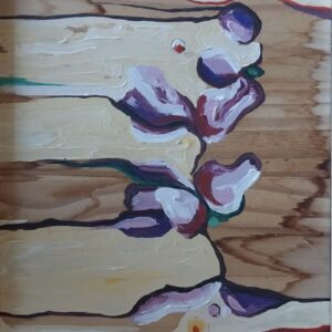 Wild Orchid On Board, Frames