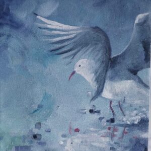 Lonely Seagull