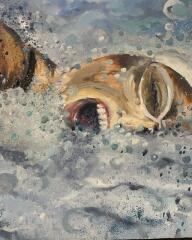 Swimmer 2